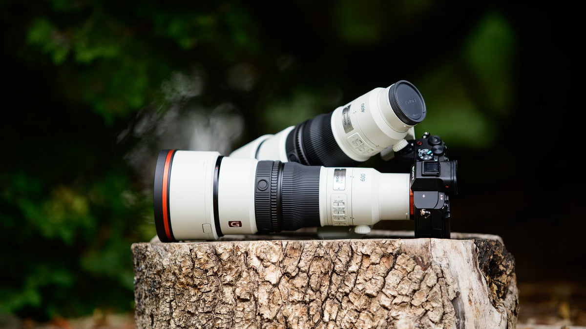 Sony dévoile les nouveaux FE 400mm F4.5 GM OSS et FE 600mm F6.3 GM OSS