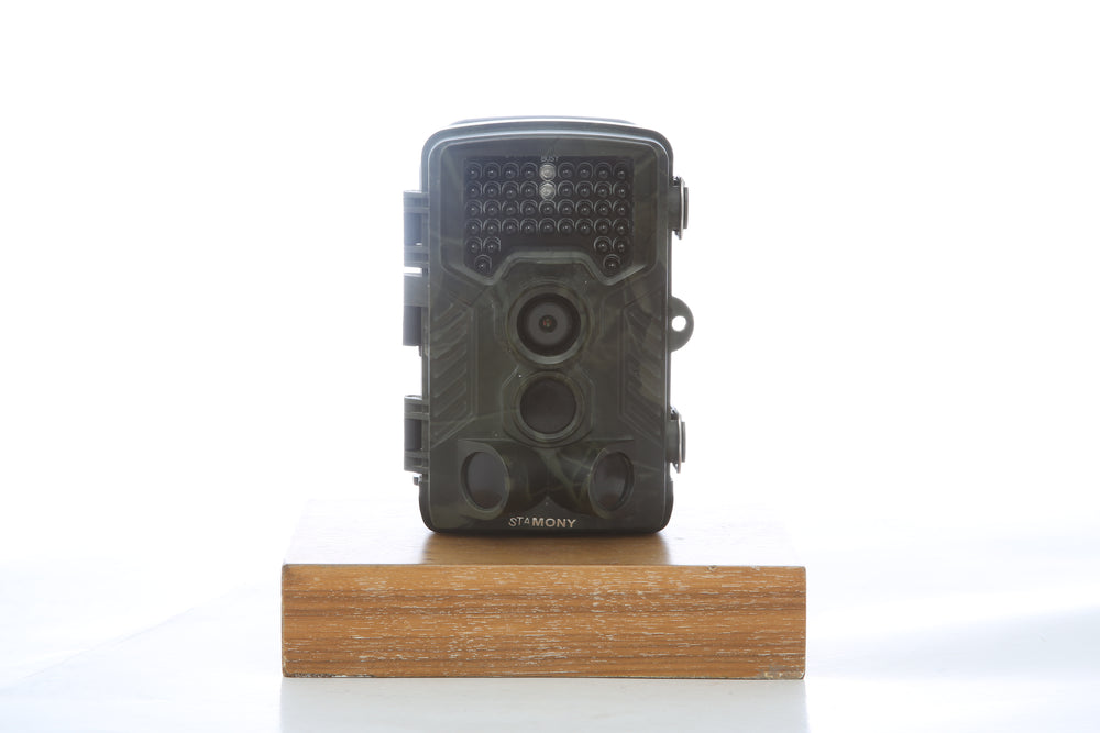 Occasion Camera trap Stamony