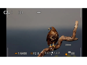 Canon EOS R7 Gehäuse