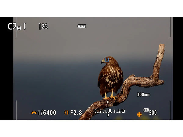 Canon EOS R7 Gehäuse