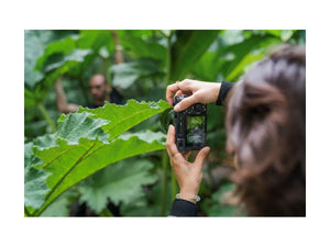 Sony Alpha A7CR Body Black