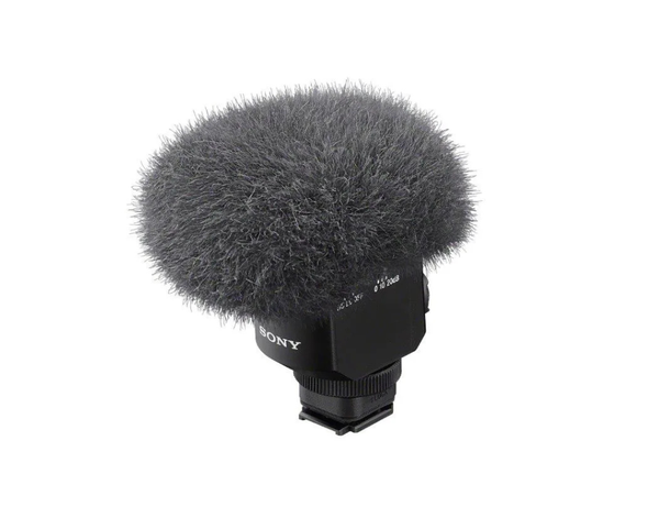 Location Micro Sony ECM-M1