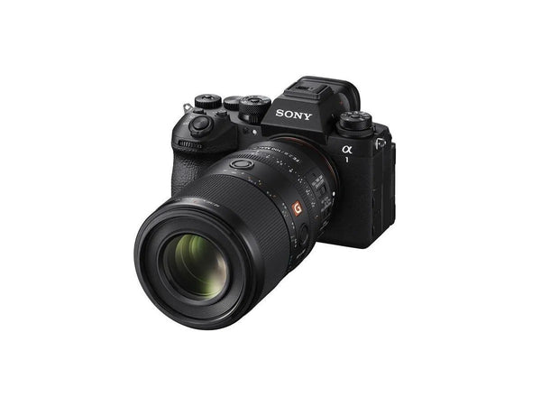 Sony E-Mount FE 100mm F2.8 GM Macro OSS