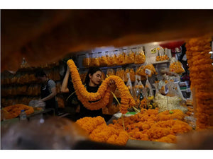 Canon RF 20mm F1.4 L VCM