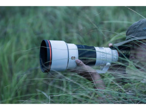 Sony FE 300mm GM F2.8 OSS