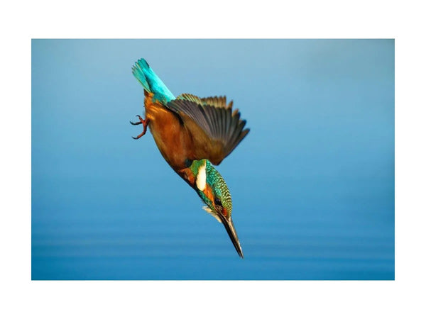 Sony FE 70-200mm GM II F2.8 OSS