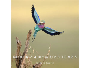 Nikkor Z 600mm f/4 TC VR S