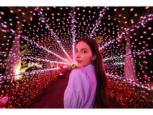 Canon RF 15-30mm f/4.5-6.3 IS STM