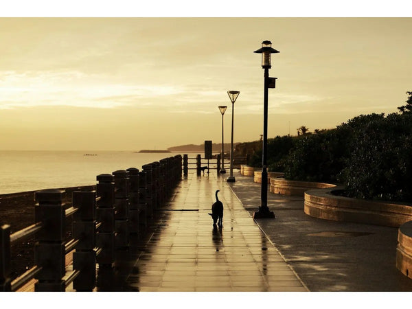 Canon RF 28-70mm f/2.8 IS STM