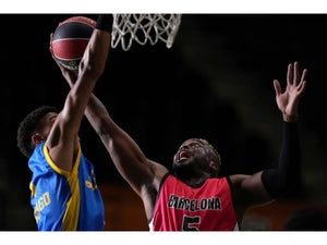 Sony FE 300mm GM F2.8 OSS