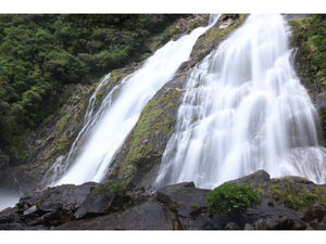 Canon RF 14-35mm f/4L IS USM