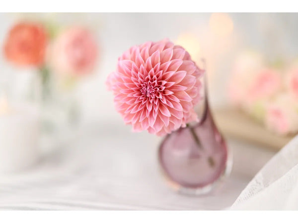 Canon RF 85mm F1.4L VCM