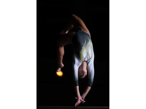 Sony FE 300mm GM F2.8 OSS