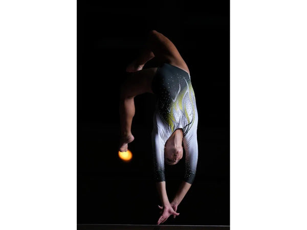 Sony FE 300mm GM F2.8 OSS