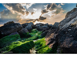 Sony FE 24-70mm GM F2.8 II