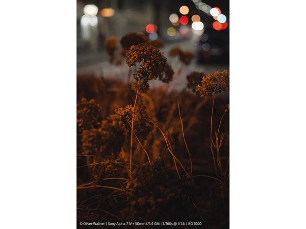 Sony FE 50mm F1.4 GM