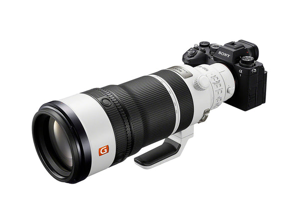 Sony FE 100-400mm F4.5 GM OSS